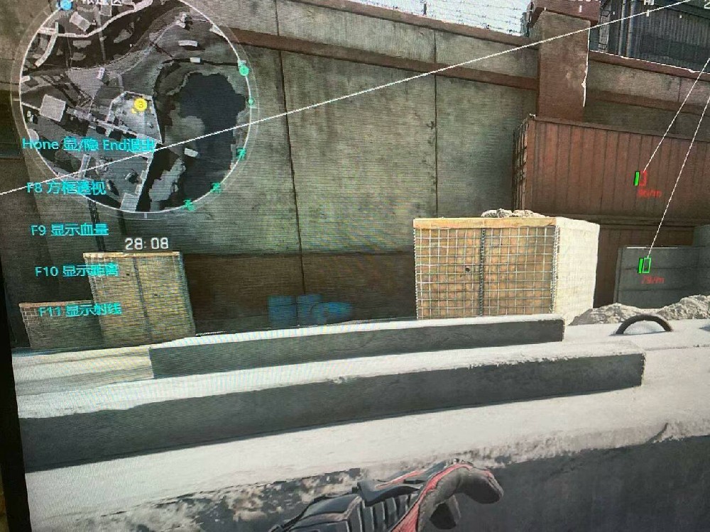 三角洲行动外挂《李白》更新禁网问题